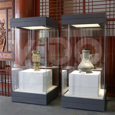 Vitrina muzeului cu rame - din metal